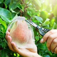 Fruit Protection Net Bags Pest Control Anti-Bird Netting Strawberry Mesh Bag Vegetable Netting Cover Gardening Tool