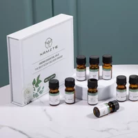 Namaste 5 ml ätherisches Öl mit 10 Stück reinem Pflanzenduftöl, automatische Lufterfrischer für Zuhause, geeignet für Aromadiffusor, Luftbefeuchter