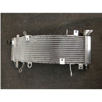 For 1998-2003 Suzuki TL1000R TL 1000 R Aluminum Radiator Cooler Cooling Coolant 1998 1999 2000 2001 2002 2003