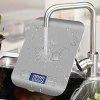Electronic Digital Kitchen Scale LED Display 10kg 5kg/1g Stainless Steel Panel Scales Home Jewelry Food Snacks Weighing Tools