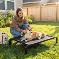 20cm High Elevated Large Dog Bed Heavy Duty Breathable Washable Steel Frame Pet Cot for Golden Retriever Labrador