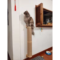 Wall Mounted Cat Scratching Post Wall Furniture Wood Kitten Scratcher Tree for Large Cats Thicker Columns for Multi-Functions