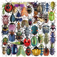 50PCS Kawaii Pretty Insect PET Sticky Sticker Aesthetic Tear Open Colored DIY Decoration Scrapbooking Supplies for Kids