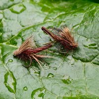 6PCS #12 #14 #16 Foam Back Brown Elk Hair Caddis Fly Non-Barbed Fly Fishing Dry Flies Mayfly Trout Grayling Lure Bait