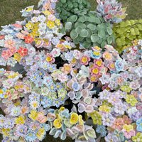 10pcs High Temperature Handmade Ceramic Simulation Flowers Eternal Life Flower Decorations, Unique Creative Gifts for Home