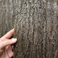 Aqumotic Silicone Fake Bark Sticker Faux Tree Bark Cover DIY Trunk Pipe Tree Inside Green Plant Landscape Self-Adhesive Sticker