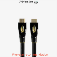 AVplay HD-300 99.99% Silver Customized Hi-end HiFi Audio DAC DDC CD I2S IIS RJ45 Digital Wire Player Connect DAC 4K 8K Cable