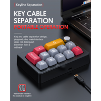 12Keys USB Wired Mechanical Gaming Keyboard, Programming KeyPad with Knobs, RGB LED Backlit KeyPad Macro Support One-Hande