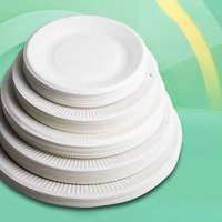 50pcs Paper Plate, Disposable Party Tableware, Bone Spitting Plate, Picnic Plate, Children's Drawing Diy White Cardboard, Decora