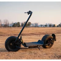 Newest Design Big Two Wheels Fat Tyre Citycoco 2000W 60V20A Max Disc Brake Electric Scooters Steel Frame