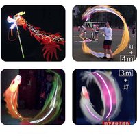 Children's Lighting Chinese Dance Dragon Set With Head New Year Festival Gifts Shool Performance Fitness Dragon Prop Customized
