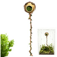 Jumping Spider Climbing Rope Magnetic Decorative Habitat Accessories Spider Shelter Climbing Rope For Small Reptiles Cage