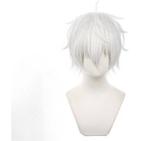 Anime Seishiro Nagi Cosplay Wigs Silver White 30cm Short Warping Heat Resistant Synthetic Hair Man Wig