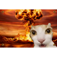 Funny Cat Meme Nuclear Explosion 2x3ft 3x5ft Tapestry Wall Hanging Mushroom Cloud Flag for Bedroom Dorm Party Decor