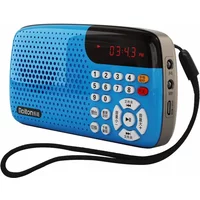 Rolton W105 Portable Radio Mini Stereo LED Display USB TF Auditorium Large Speakers Radio for Old Man Morning Exercise Radio