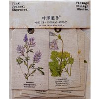 Vintage Color Plant Atlas Tag Background Textured paper DIY Scrapbook Junk Journal Travel Diary Material Decorative