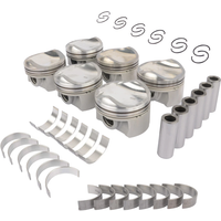AP01 Kolben- und Lagersatz für VW Audi A4 A6 Q5 Q7 3.0 TFSI CAKA CAJ CGW CJT CYJ CJW KA