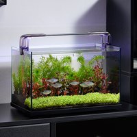 sttl Cherlam Factory Wholesale 20 Gallon Small Aquarium tank Desktop ultra clear Glass Fish tank for Fish Farming