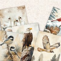 32pcs, natural style bird postcards, indoor bedroom decoration, wall stickers, message cards, greeting cards, commemorative