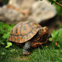Simulated Animal Turtle Resin Ornaments Outdoor Garden Villa Courtyard Pool Fish Tank Decoration Layout Landscaping Model