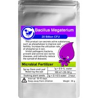 30g Bacillus Megaterium Microbial Fertilizers For Soil Improvement Phosphorus Solubilization & Crop Growth Promotion
