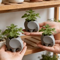 Mini Elephant Pot with/ Drainage – 3D Printed, Cute for Succulents, Indoor/Outdoor Use, Desk Decor Gift