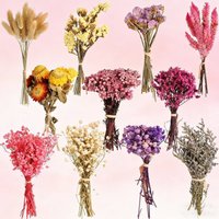 Mixed Dried Flower Material Package Boxed Mini Small Bouquet Wedding Gifts Boutonniere Souvenir Gift Various Plants Floral Box