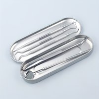 5pcs Stainless Steel Adult & Pet Teeth Cleaning Kit - Portable Outdoor Toothpicks,High-Quality Waterproof Tools for Oral Hygiene
