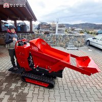 Hot Mini Crawler Dumper Lightweight Small Dump Truck Track Carrier For Home Garden Farm Yard Material Moving Customized