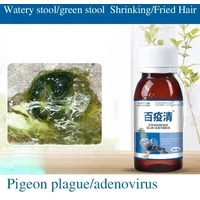 Pigeon Has Green, Watery Droppings, Newcastle Disease, Bursitis, Racing Pigeons, Parrots, Bird Pigeon Supply
