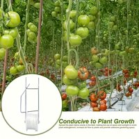 6pcs Greenhouse Vine Hanging Support System Scroll-Type Crop Management Hooks For Tomato Cucumber Strawberry Pepper Cultivation