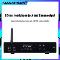 24 bit digital DSP processor audio XSW stereo wireless in ear monitoring system XS in ear monitoring, with 1 Bodypack