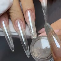 1Jar Flash Plating Aurora Nail Powder High Glossy Light Bulb Super Bright Moonlight White Mirror Nail Glitter Chrome RubbingDust