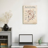 Ear Piercing Infographic Chart Black And Blue Canvas Painting Plaques Wall Vintage Pub Framed Wall Painting