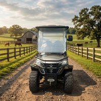 All Terrain 4 Wheeler Electric Golf Cart Lifted 2+2 Passenger Electric Vehicle Offroad Lithium Battery Powered Golf Car