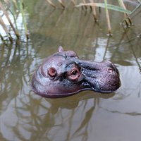 Funny Floating Hippopotamus Ornaments Handmade Resin Craft Pond Floating Hippopotamus Head Lifelike Animal Figurines Decoration