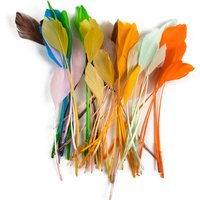 Wholesale Colored Goose Feather Natural Feathers for Wedding Carnival Decor Jewelry Making DIY Home Accessories Plumes 13-18CM