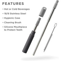 Reusable Telescopic Straws, Foldable Stainless Steel Straws for Travel Work and Outings Keychain EDC Telescopic Straws