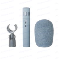 Small Diaphragm Hypercardioid Condenser Microphone Suitable for Recording Studio Live Performances Musical Instrument Microphone