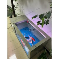 X4 Super White Glass Ornamental Fish Tank Koi Fish Pond Water Circulation System Filter Box Pp Plastic Fish Tank