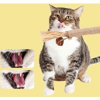 NEW 1/2PCS Cat Toys Made Of Wood Knotweed Teething Sticks Insect Galls Raffia Sisal Rope Teeth Cleaning Toys Cat Teasing Sticks