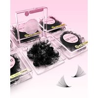 ABONNIE 500 Fans Loose Fan 6D-20D Pointy Base Premade Fans Sharp Thin Slim Medium Stem Volume Russian Eyelashes Extensions