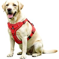1pc Reflective Outdoor Pet Harness and Leash Set, Suitable for Cats and Dogs. Breathable Chest Strap, Durable and Long-Lasting.