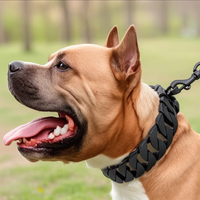 Obroża dla psa Golden Pitbull - wytrzymały łańcuszek ze stali nierdzewnej dla dużych psów - bezpieczna i bezpieczna konstrukcja