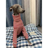 Włoski greyhound w czerwone paski sweter Whippet z golfem rozciągliwa ciepła odzież dla zwierząt