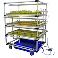 Full Automatic and Easy Operate Microgreens Growing System Seedling Rack with LED Hydroponics Growing Lamps