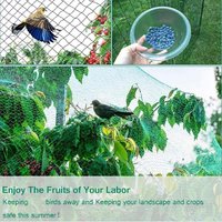 2*5m Anti Bird Protection Net Mesh Garden Plant Netting Fencing Trees Birds Best And Fruit Poultry Plants Protect From Deer Z9P0