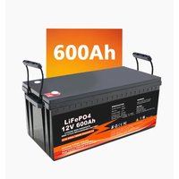 energy storage 12V 24V 48V 50AH 100Ah 200Ah 400Ah 460Ah 600Ah Bluetooth IP65 Lifepo4 battery
