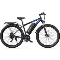 AliExpress DUOTTS C29-L Adult Electric Bike 48V 30Ah Battery 29 Inch Tire Mountain Electric Bike 750W Motor City Electric Bicycle