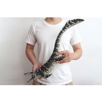 Nanmu 1:35 Scale Mosasaurus 2.0 Figure Mosasauridae Dinosaur Model Leviathan Collection Decoration GK Birthday Gift